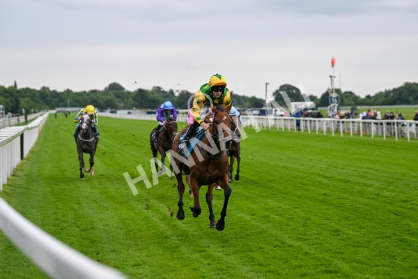 120724-Race 3-Royalty Bay-5979 - Race 3 3.15pm William Hill Keep Your Raceday Positive Irish EBF Fillies' Novice Stakes