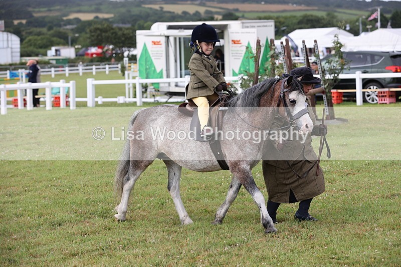 JPP_0344 - Class 14: Cornish Combination Leading Rein