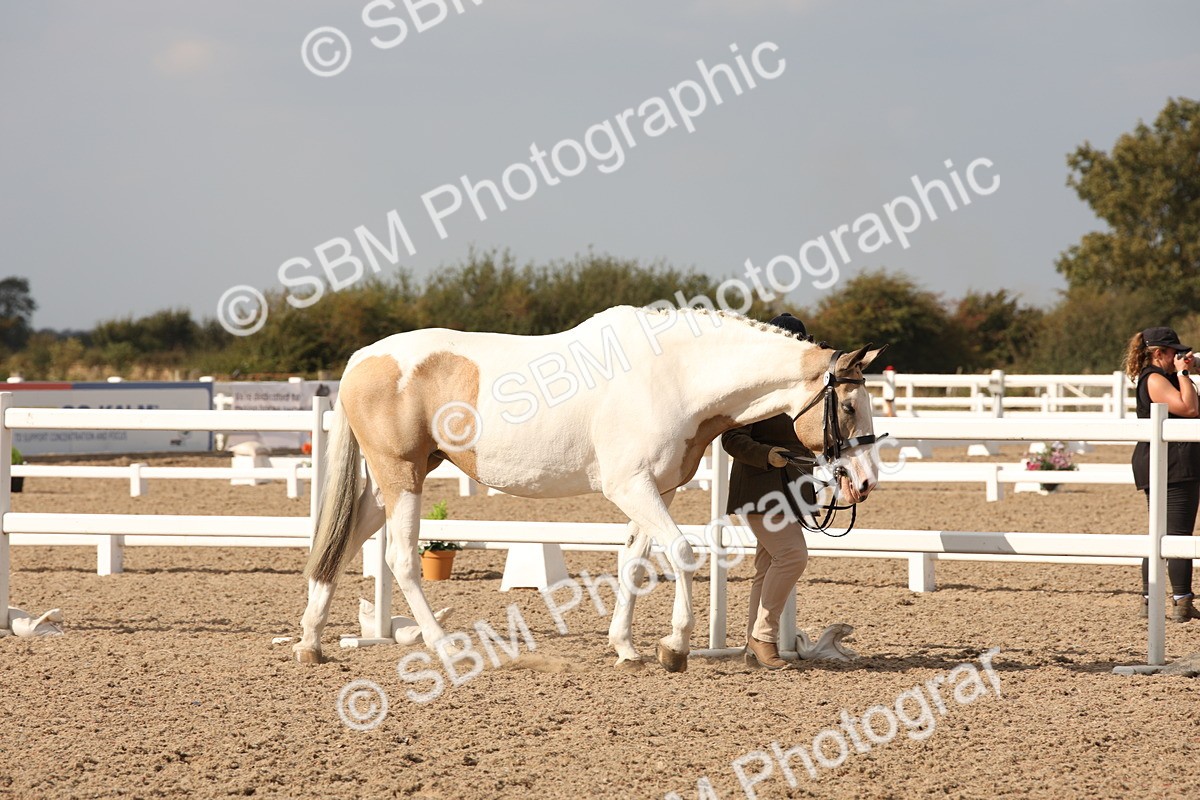 SBM_08129 - Class 27 - IH Competition Horse-Pony