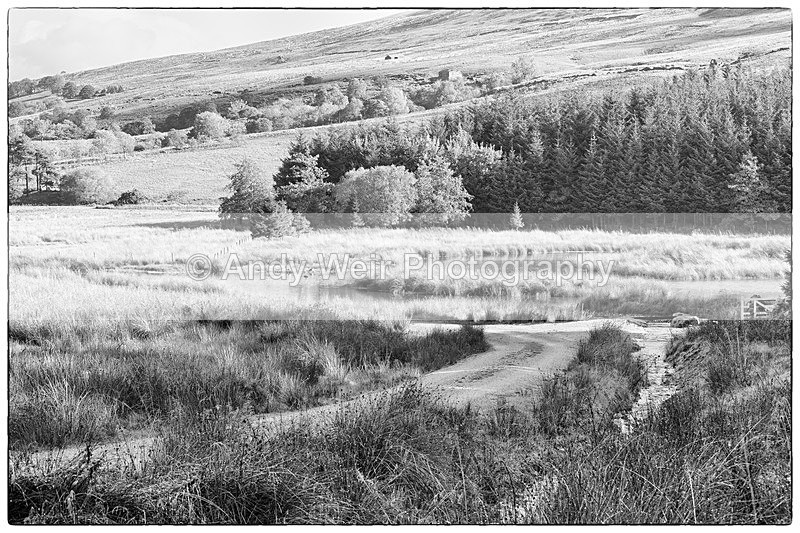 20141010-3K8A6528-3108 - England