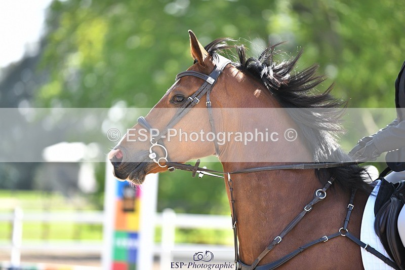 230512-103051-00536 - Cls 10 Snr 85cm Schooling