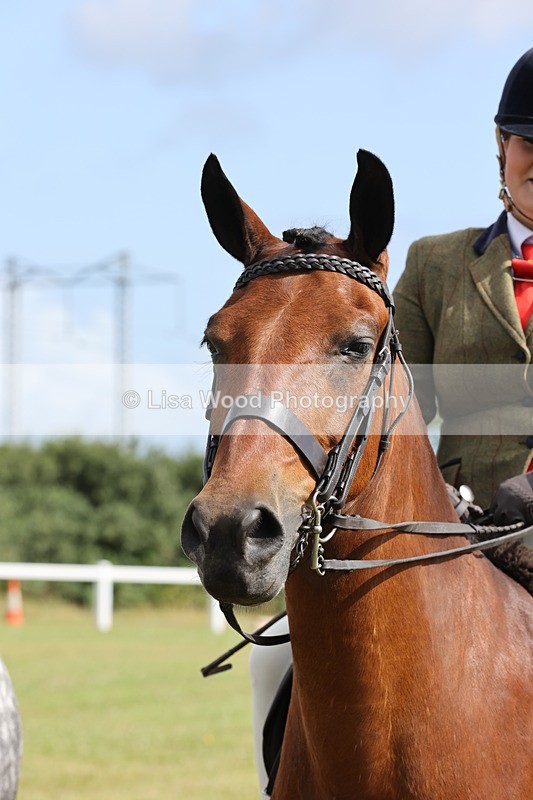JPP_0964 - Class 16: Cornish Combination Young Rider