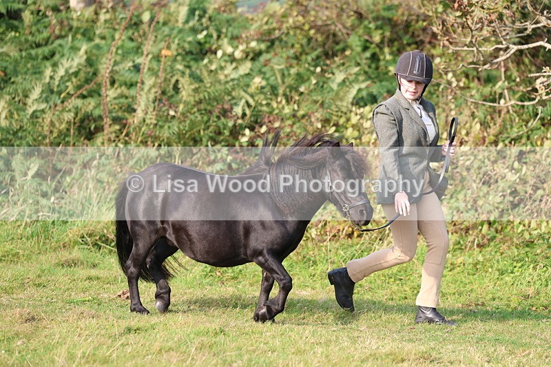 3E7A3183 - Class 12: M & M Small Breeds