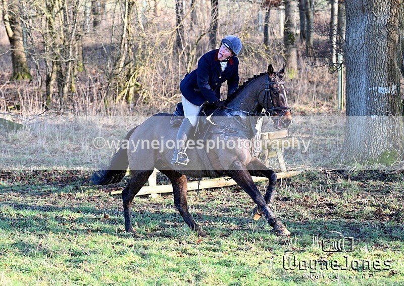 WJ7_2606 - Edited examples