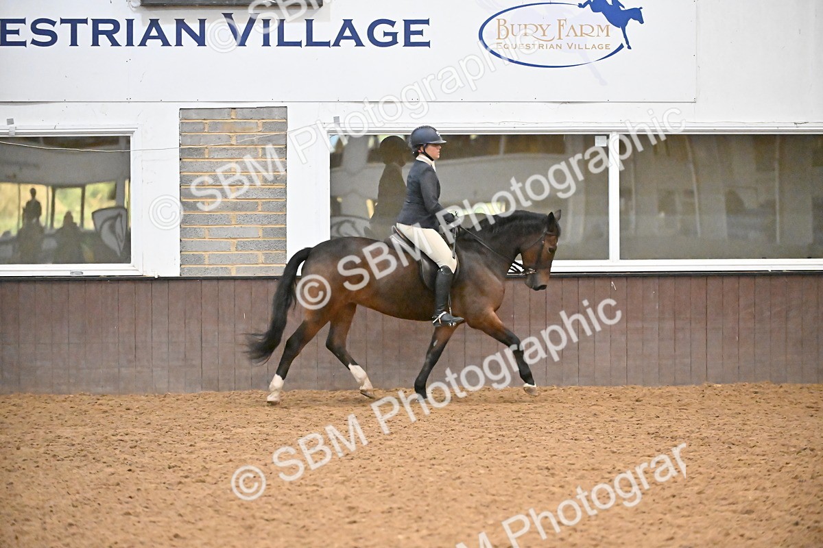 SBM_002942 - Class 37,38 - UKPSAF Performance Horse & Pony