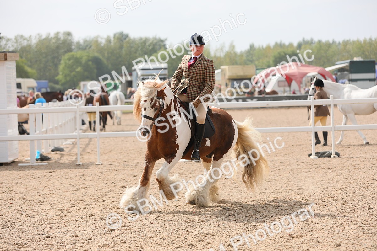 SBM_12773 - Class 307 Ridden Coloured Pony