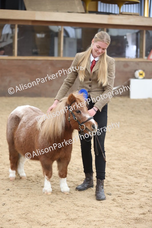 20251109-0386 - Class 14 - Geldings 4 Years and Over