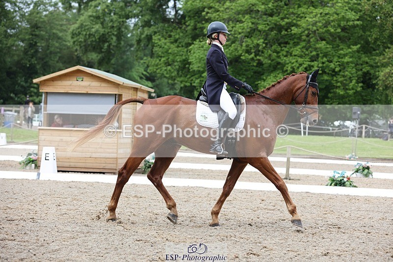 240523-102613-03309 - 212-RIVERSTOWN_ROYAL-Georgie_Frow