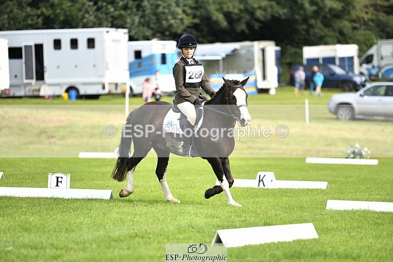 230826-100538-15358 - Sections C & D 9 to 10am