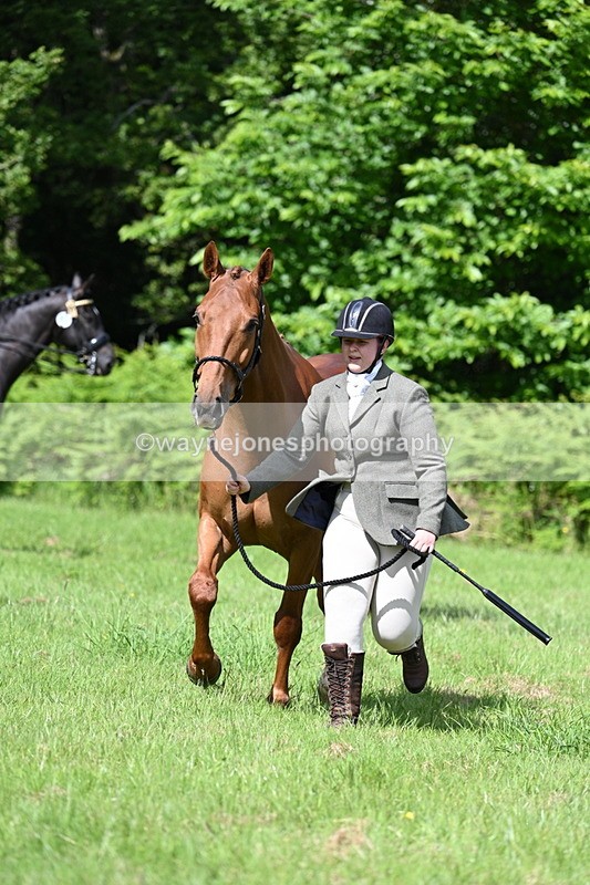 WJ7_1077 - Class 11 Condition & Turnout