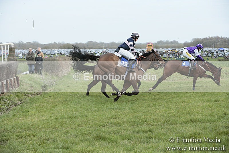 PtP 230319 196 - VWH Hunt Siddington Point-to-Point Racing 23/03/19