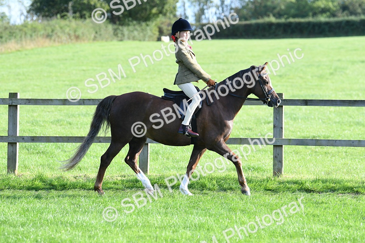 SBM_54027 - S23 - 1st Ridden Mountain & Moorland Pony