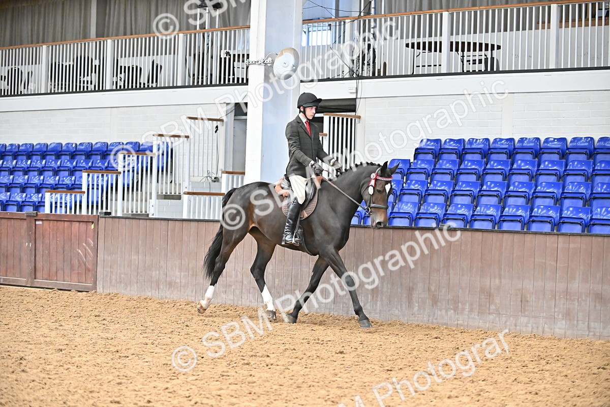 SBM_001440 - Class 19,20 - Ridden Native, Foreign Breeds & Warmbloods