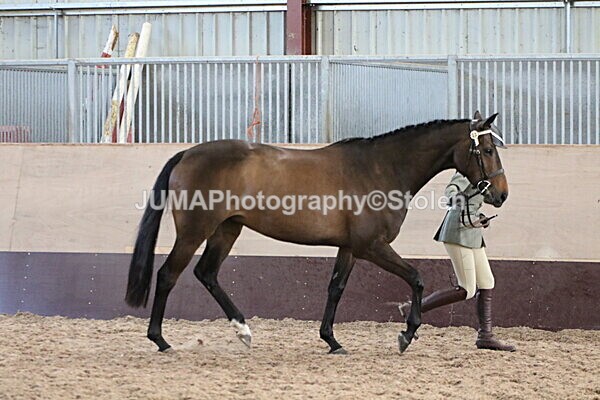 SIAL9791 - Indoor Classes