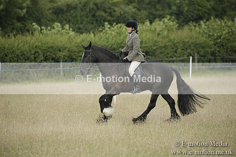 B230619-0173 - Bourne Valley Riding Club Summer Show 23/06/19