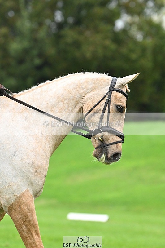 241024-125115-03531 - 519-Jane.Rogers-CORRIEVIEW.MERLIN.MAGIC