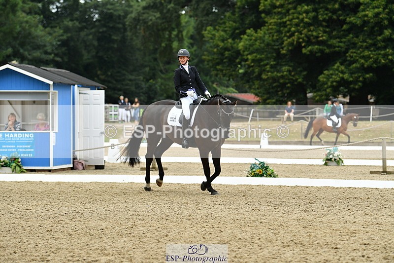 250718A-103726-00206 - 061-Louise.Christie-High.Hoes.Dandelion