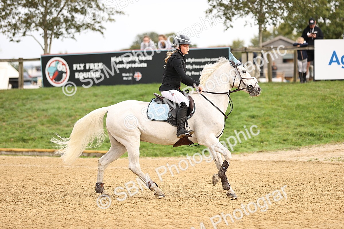 SBM_58165 - J41 - Grand Tour Horse & Pony 95cm