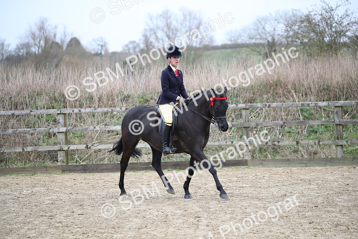 SBM_004711 - Class 5-9 - NPS In Hand-Show Hunter-Intermediate Ridden Inc Ridden Championship