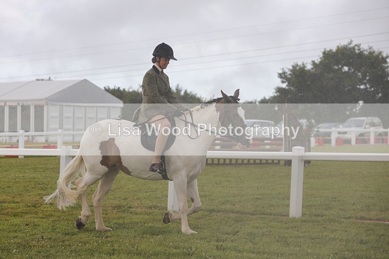 1X9A2997 - Class 26: Ridden Plaited Coloured Pony