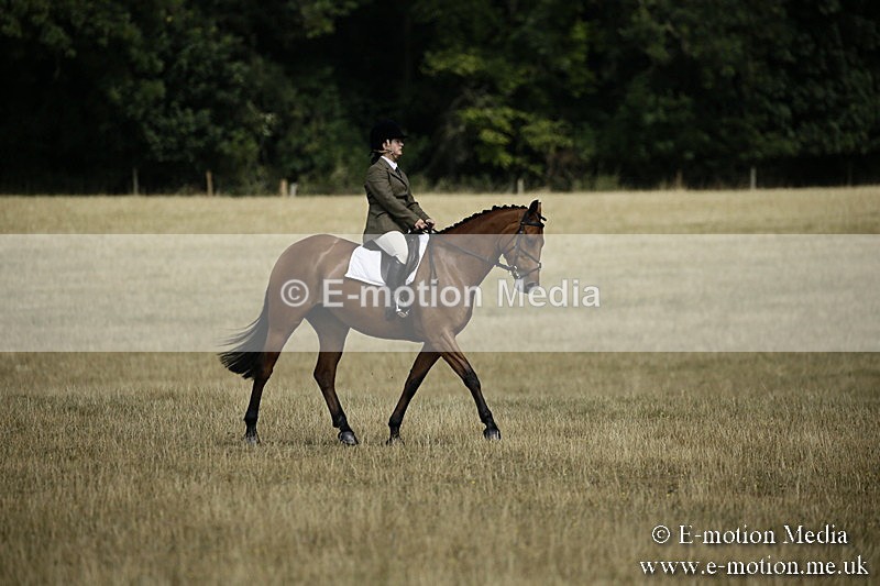 _EP59131 - Roving Camera BVRC Show 2018