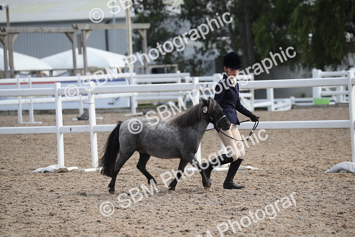 SBM_23284 - Class 606 - 2025 Area - IH Pre Vet