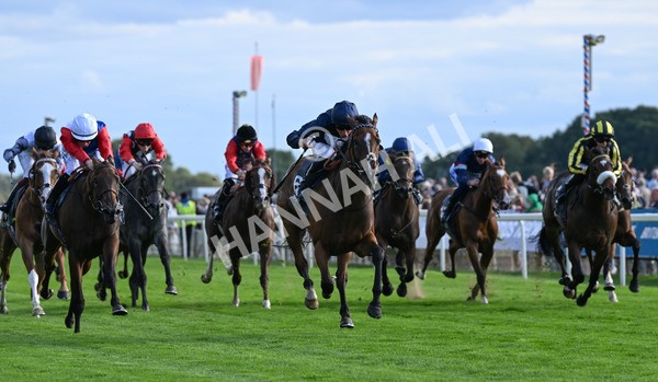 210825-246 Royal Velvet - Race 7 5.20pm British EBF Fillies' Handicap