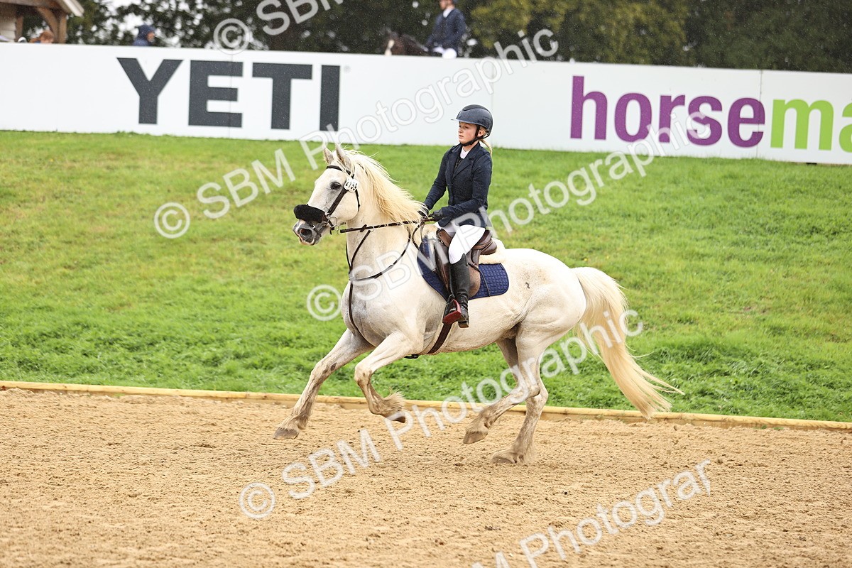 SBM_73306 - J19 - Junior Horse & Pony 90cm Supreme championship