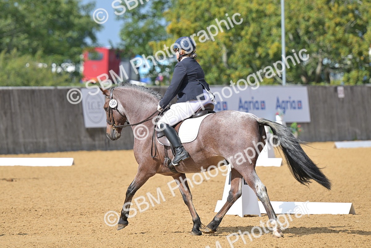 SBM_10903 - D3 - Small Tour Championship Intro 3