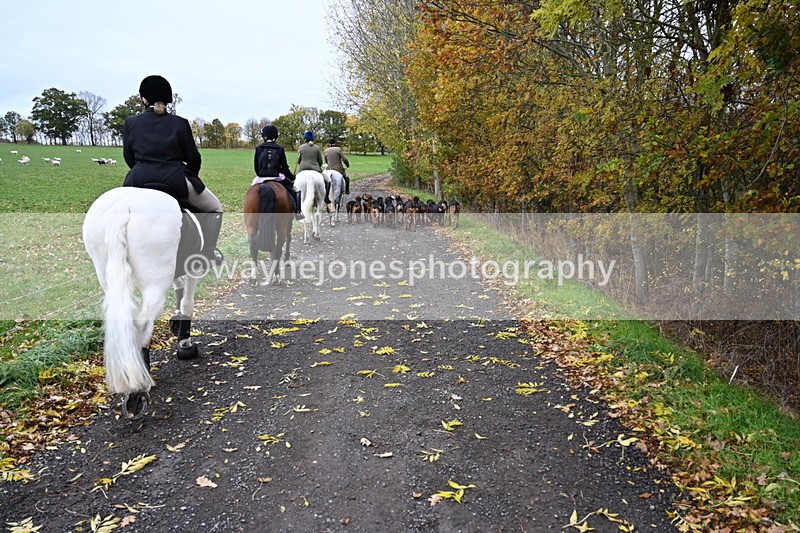 WJ6_9263 - Ride