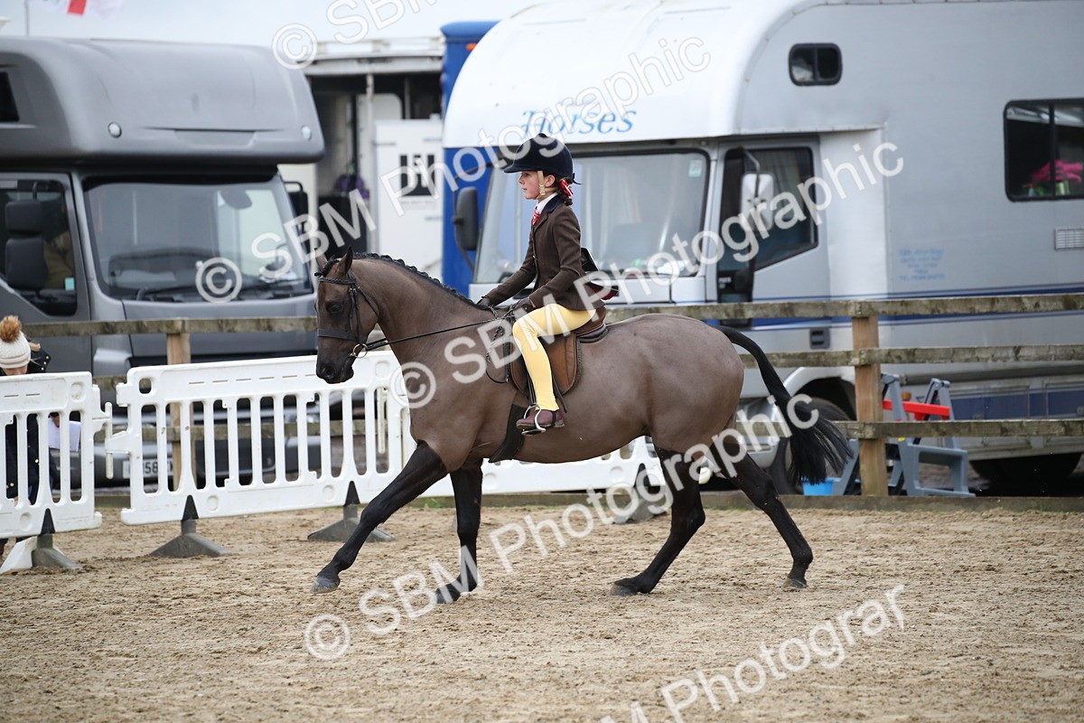 SBM_004610 - Class 5-9 - NPS In Hand-Show Hunter-Intermediate Ridden Inc Ridden Championship