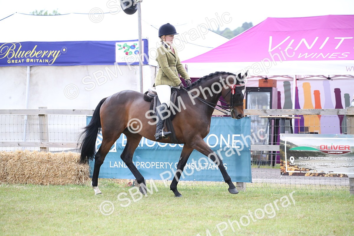 SBM_11412 - Class 94 - LIHS BSHA Racehorse to Showhorse