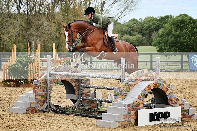 BSHA 100926 1288a - Equestrian