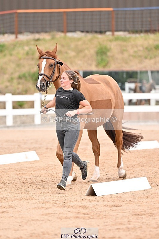 250716-153920-02077 - Trot Up 3.30 to 4.30