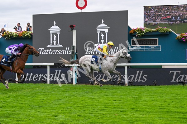200825-Race 2-Gewan-1316 - Race 2 2.25pm Tattersalls Acomb Stakes