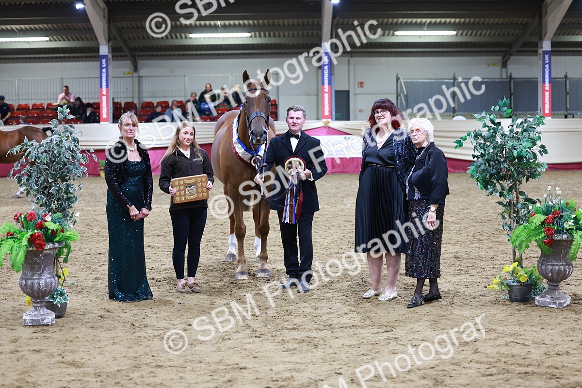 SBM_20521 - Class G - IH Large (over 148cm)Champ