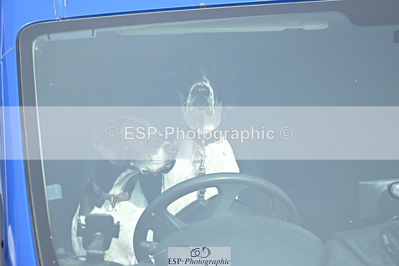 241004A-152050-02725 - Fri 12 1.15m Members Cup