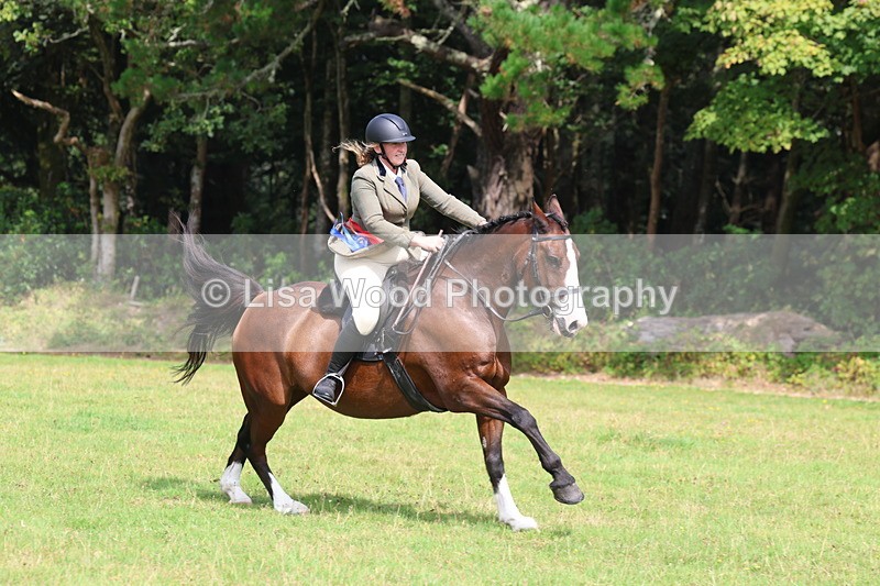 3E7A6111 - Working Hunter Championship