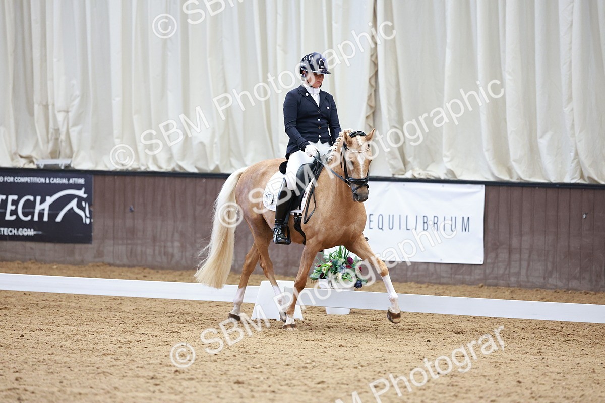 SBM_017308 - Class15 - FEI Pony