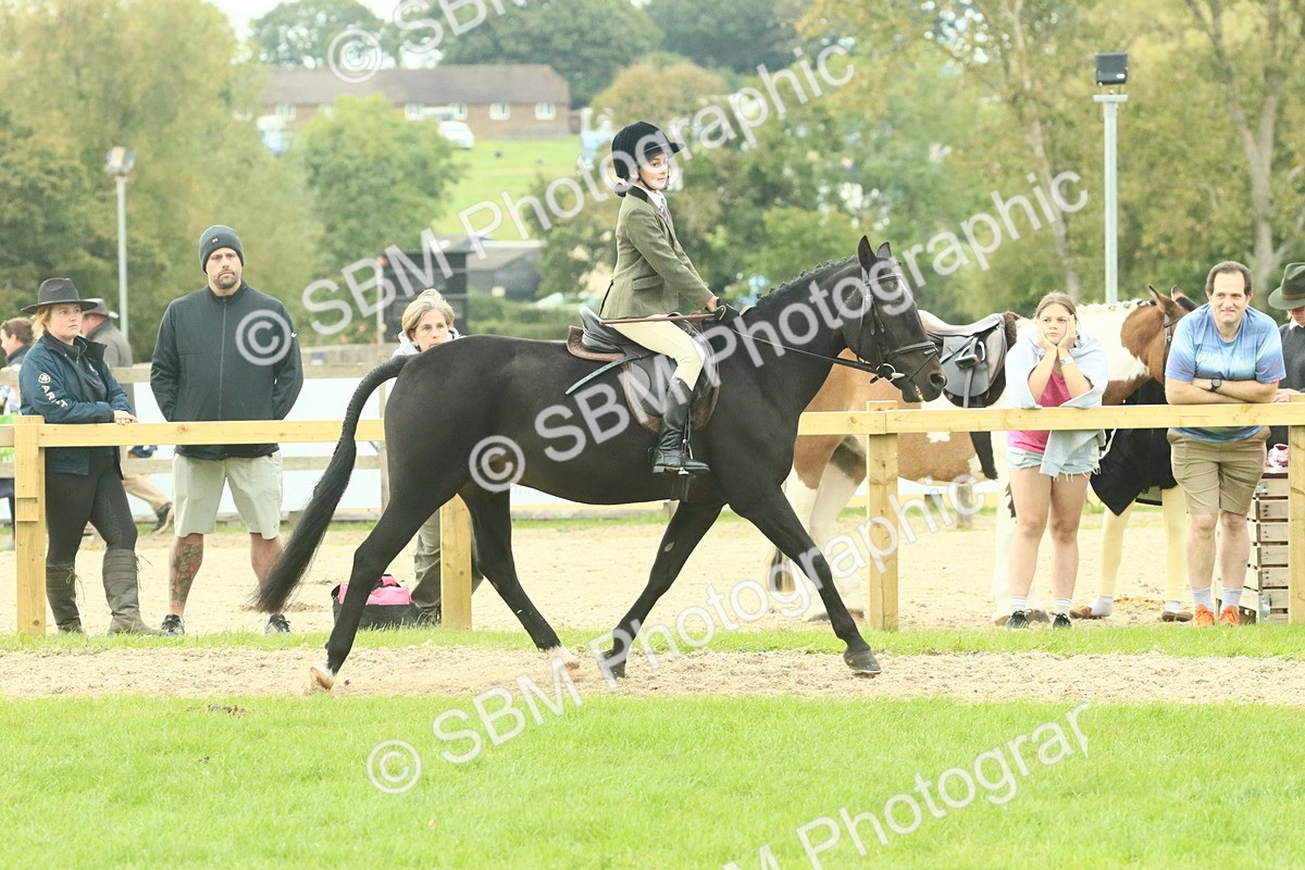 SBM_73990 - S 61 - Show Pony & Show Hunter Pony Ridden