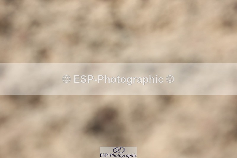 250620-154136-04792 - BD Cls 22 - FEI Grand Prix