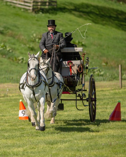 Attelage -661 - CIAT Glamis 2026