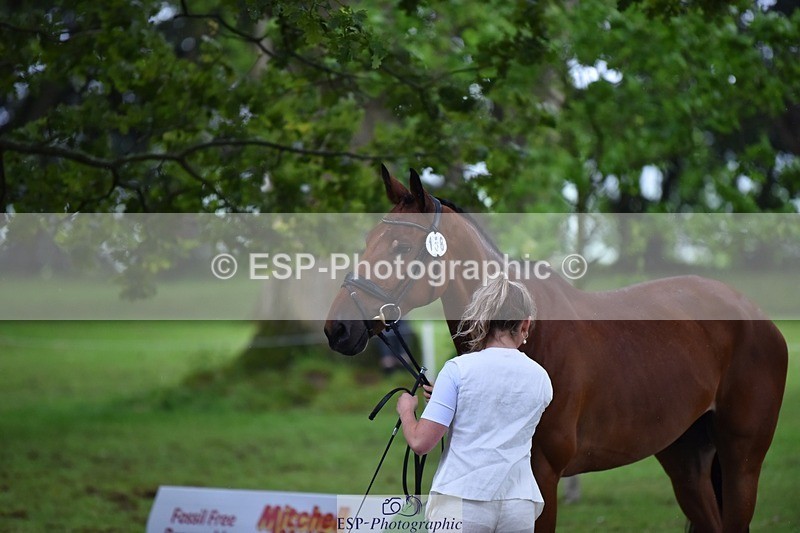 240522-161112-00764 - 158-MY_EASTWOOD_BRIGHTSIDE-Darcy_Zander