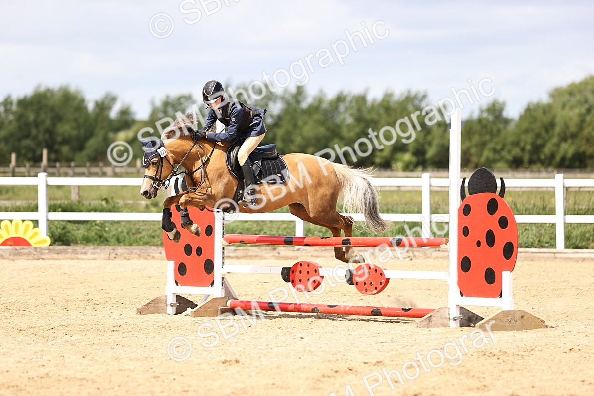 SBM_007462 - Class 2 - 80cm showjumping