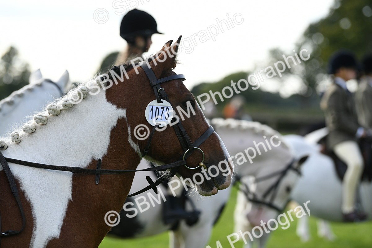 SBM_51831 - S21 - Novice & Newcomers 1st Ridden Pony