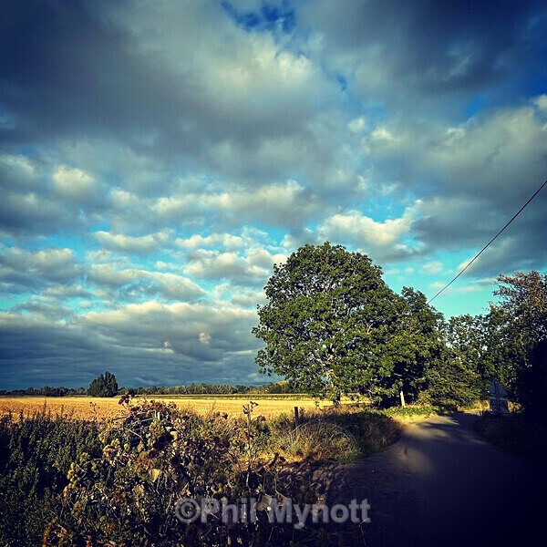 PhotoMynottART035 - Photo Mynott ART Images
