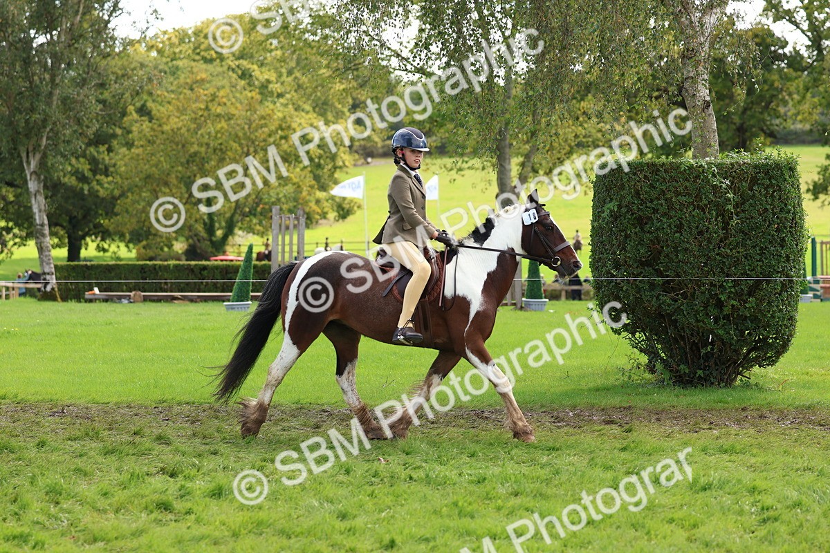 SBM_45237 - S27 - Young Veteran Ridden