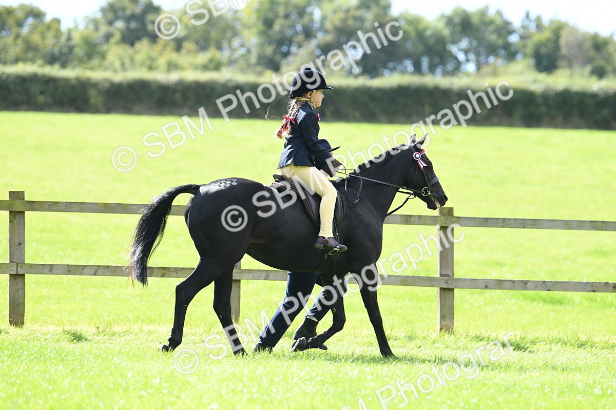 SBM_41142 - S19 - Lead Rein Show & Show Hunter Pony