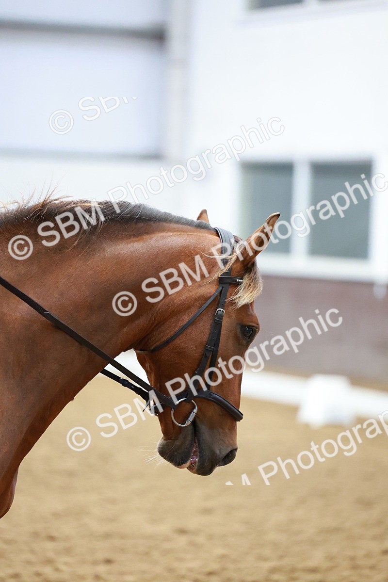 SBM_000259