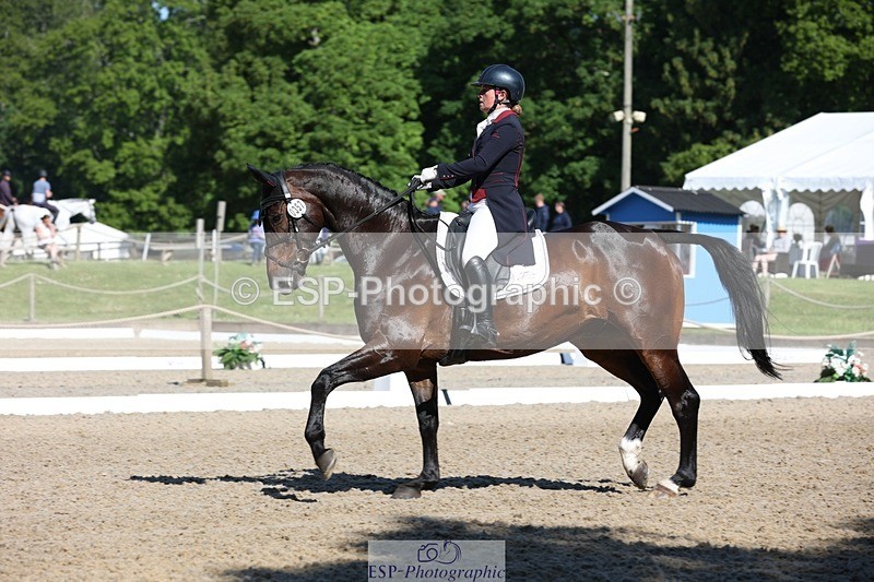 230526-094129-05136 - 357-VIVENDI_HERO-Saffron_Cresswell-WEDTrotUp+DR